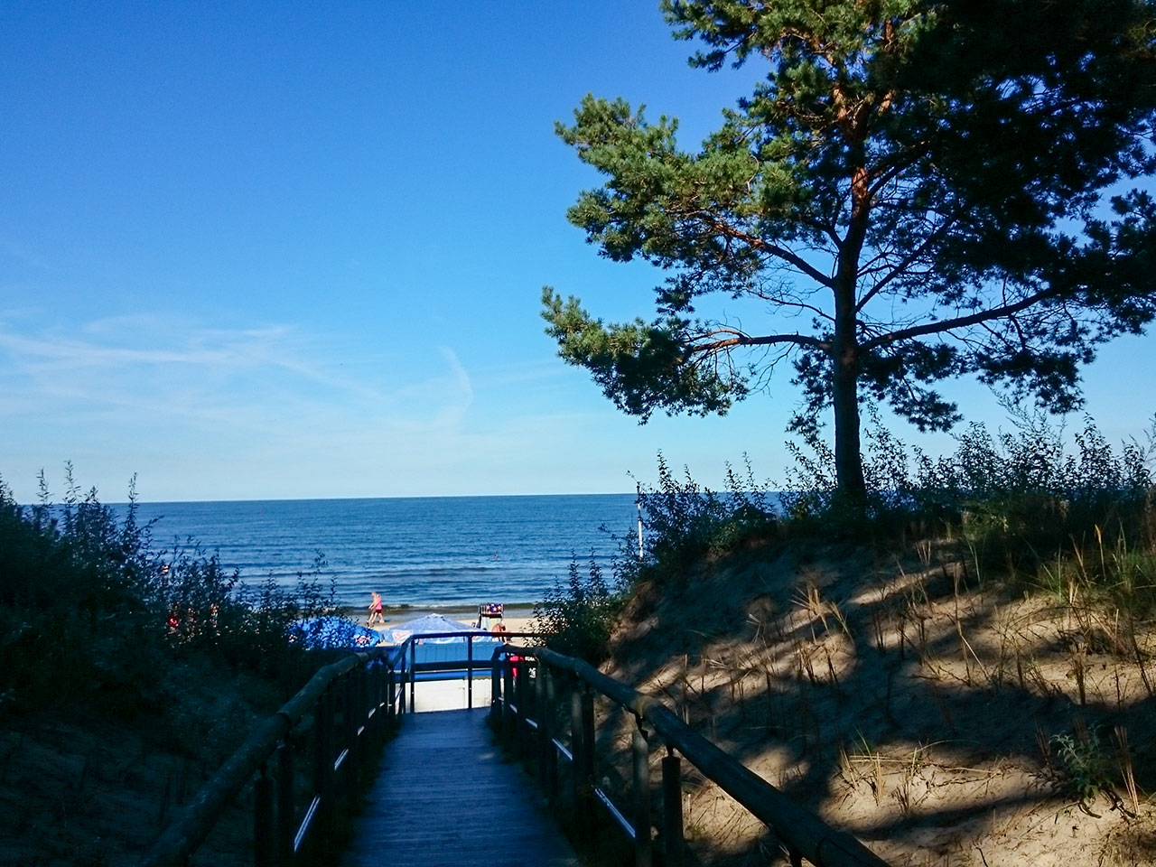 Weg durch die Dünen zum Strand